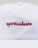 "Charlie" - Dad Hat in — Spirit Celeste USA made luxury basic